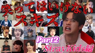 笑ってはいけないスキズ編パート2【StrayKidsスキズ스트레이키즈面白編日本語字幕】 [upl. by Odarnoc210]