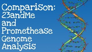 Comparison 23andMe and Promethease Genome Analysis [upl. by Eiramasil394]