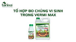 Tổ hợp 80 chủng vi sinh trong Vermi Max [upl. by Kalinda]