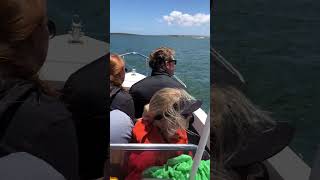 Family fishing Langebaan lagoon  FUN [upl. by Yettie]