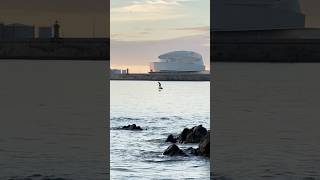 EFoil 4K Matosinhos Sunset matinhosbeach beach travel [upl. by Ah]