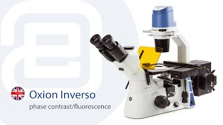 Euromex Oxion Inverso fluorescencephase EN [upl. by Gan]