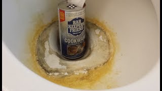 How To Clean A Toilet Remove Hard Water Stains And Rust Bar Keepers Friend [upl. by Chainey]