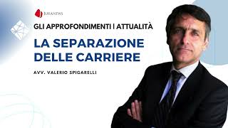 La separazione delle carriere  Avv Valerio Spigarelli [upl. by Eralcyram170]