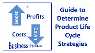 Guide to Determine Product Life Cycle Strategies [upl. by Katherina34]