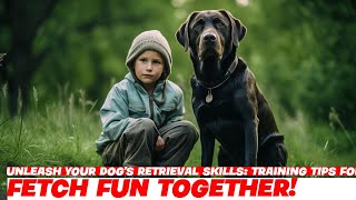 Unleash Your Dogs Retrieval Skills Training Tips for Canines [upl. by Ardnoed]