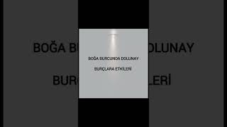 astrolojigünlüğü boğaburcundadolunay dolunay burçlar burçyorumları shortsvideo [upl. by Victor]