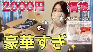 【2000円で20点入り福袋】1品100円で買えるなんて信じられないですね、コスパ最強ォォ【福袋オタク】 [upl. by Witcher]