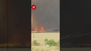 Redemoinho de fogo assusta moradores durante queimada no interior de SP g1 noticias [upl. by Aiselad849]