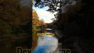 🇩🇪👹Devils Bridge Rakotzbrücke Saxony Germany germany sachsen travel shorts [upl. by Akemet]