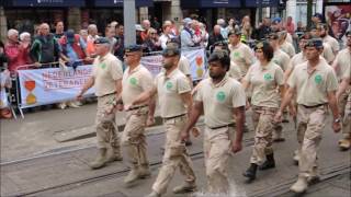 ISAF Veteranendag 2016 [upl. by Ytsirt]