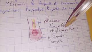 الحصة 8 دروس العلوم مباراة التعليم la Biologie le système circulatoire le système respiratoire [upl. by Paz41]