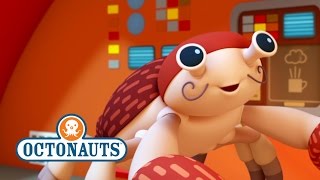 Octonauts  Saving The Coconut Crabs [upl. by Llerrah]