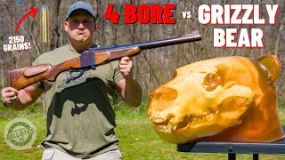 4 BORE Rifle vs Grizzly Bear 🐻 The Biggest Rifle Ever [upl. by Ahsykal162]