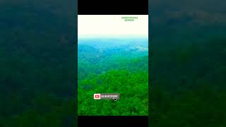 youtubeshorts purtystar dandomstar waterfall newhosong nature purtystarhomundasong2024 [upl. by Papageno13]