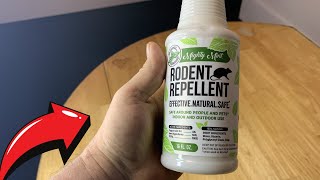 Mighty Mint 16oz Peppermint Oil Rodent Repellent Spray Review [upl. by Filmore458]