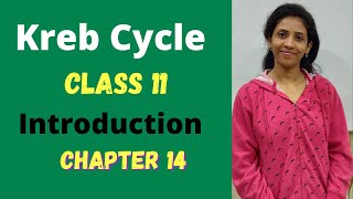 Kreb cycle Introduction class 11 biology  chapter 14  Respiration in plants  NCERT  One biology [upl. by Abas644]