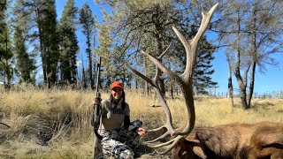 Elk Rut Fest 2023  Caldera New Mexico [upl. by Suidaht]