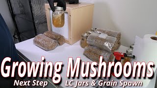 Growing Mushrooms Making LC Jars amp Grain Spawn [upl. by Jonathon100]