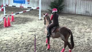 Gymkhana Dagmersellen Sindy 06 12 15 [upl. by Ymij184]