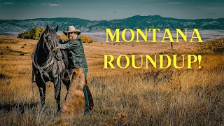 Real Montana Ranch Round Up Shipping Time [upl. by Arekahs]