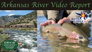 Arkansas River Fly Fishing Report Late Summer Fall [upl. by Arahsak]