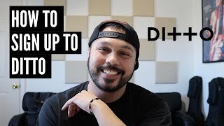 What Is Ditto Distribution amp How To Sign Up [upl. by Helbonna]