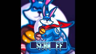 SCHN FF is live [upl. by Halyhs492]