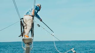 HARPOONING Bluefin Tuna in Cape Cod w Tyler Macallister [upl. by Flossy]