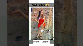 Wait For Bagad Billaa 🤣shorts funny comedy funnyvideo [upl. by Annoiek]