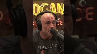 The Truth About Ibogaine  Joe Rogan [upl. by Knute]