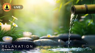 🔴 Relaxing Zen Music 247 Bamboo Relaxing Music Meditation Music Peaceful Music Nature Sounds [upl. by Volnak]