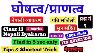 घोषत्व र प्राणत्व  Class 11 Nepali Byakaran नेपाली व्याकरण  find in only 5 sec  Tips amp Tricks [upl. by Namqul119]