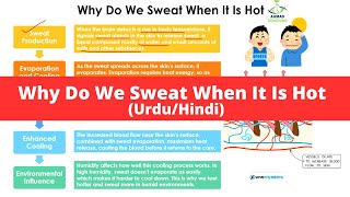 Why Do We Sweat When It Is Hot in UrduHindi  Everyday Science [upl. by Enowtna]