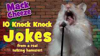 Jokes for Kids 10 Knock Knock Jokes [upl. by Alet]