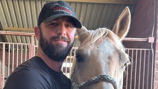 Sport Horse Chiropractic Dr Mike Adney is live [upl. by Diver163]