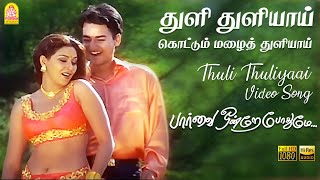 Thuli Thuliyai Kottum Malai Thuliyai Song Nathaswaram Music [upl. by Maureen880]