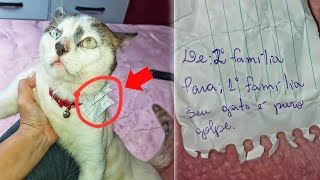 Missing Cat Returns Home With a Strange Note Around His Neck And Shocks Owners [upl. by Celinka747]