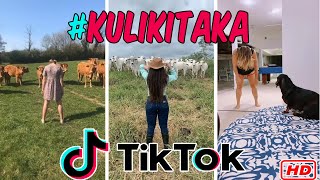 Kulikitaka Tik Tok Compilation [upl. by Fabron]