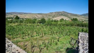 Terrazze dellEtna Winery Sicily [upl. by Amsirahc84]