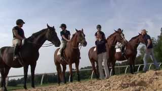 Intermont Equestrian at Emory amp Henry College [upl. by Alebasi328]