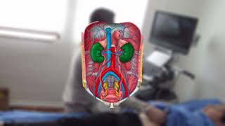 ¿Qué es el Ultrasonido Abdominal ¿Qué patologías detectamos con el Ultrasonido Abdominal [upl. by Bidget]