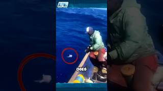 Unbelievable Fisherman Catches Fish with Bare Hands Using Mysterious Bait [upl. by Acirtal]