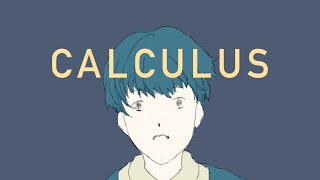 Calculus in a nutshell [upl. by Tremann]