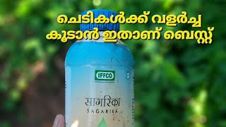 Sagarika IFFCO seaweed products  NPK 18 18 18  FOLIAR APPLICATION  V GREEN [upl. by Terrab601]