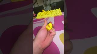 The rubber duck keychain fidget toy that quacks when you press [upl. by Adlog]