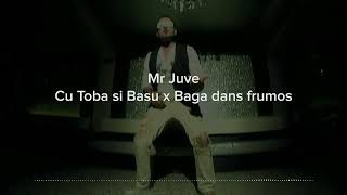 Mr Juve  Cu Toba Si Basu X Baga Dans Frumos Dj1David Mashup [upl. by Ayin109]