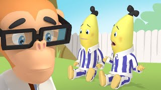 The Bananas Get Hiccups  Bananas in Pyjamas Season 2  Full Episodes  Bananas In Pyjamas [upl. by Trah198]