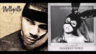 Arianas Dilemma  Nelly vs Ariana Grande Mashup [upl. by Silma]