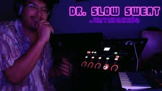 Dr Slow Sweat  Vakantie Jamsessie  Loopstation Gitaar Synth en MEER [upl. by Richart730]